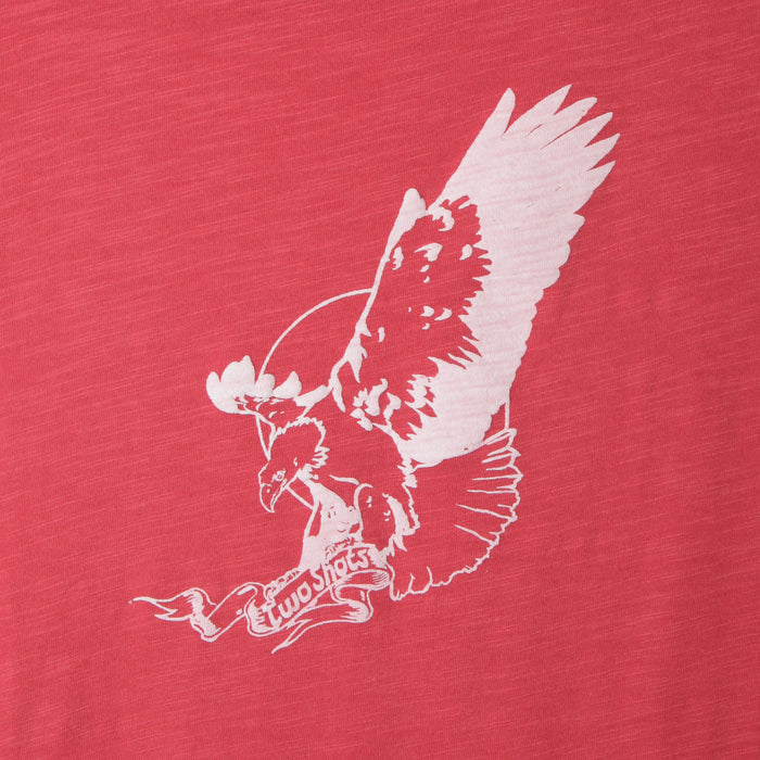 Kingston Red Desert Art – Aigle 1